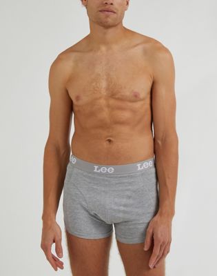 2-Pack Trunk in Grey Mele