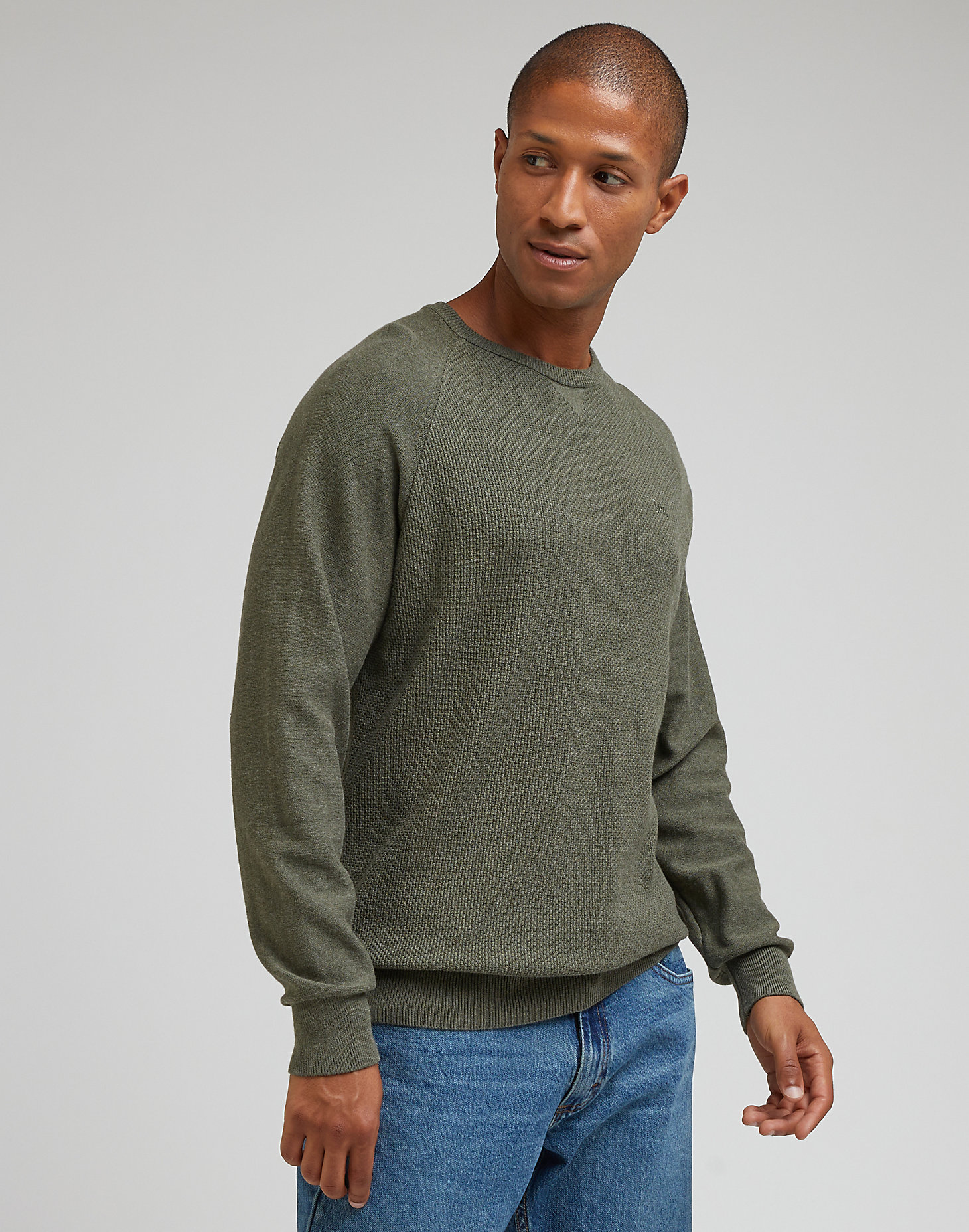 Raglan Crew Knit in Olive Grove main view