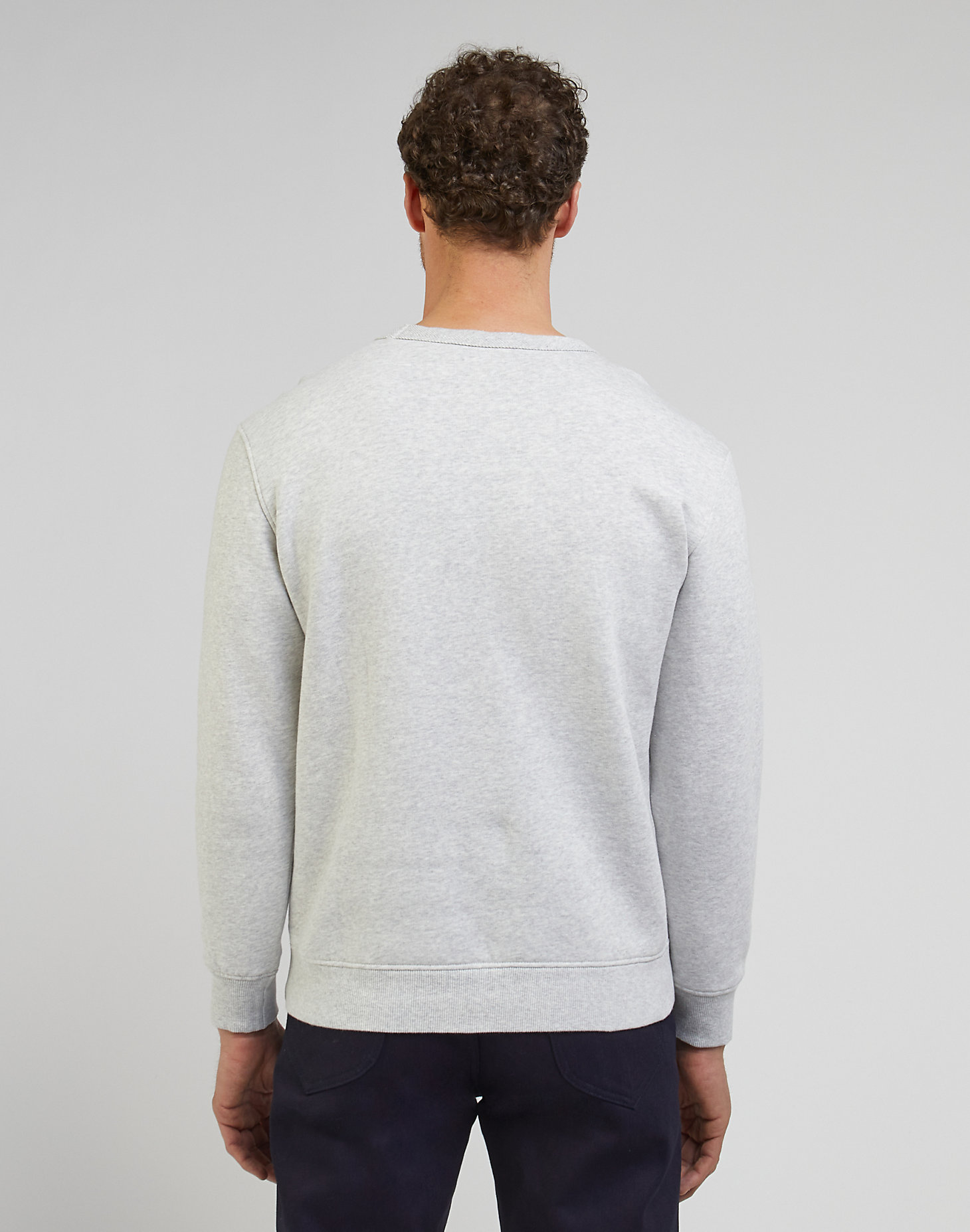 101 Regular Sweatshirt in Sharp Grey Mele alternative view 2