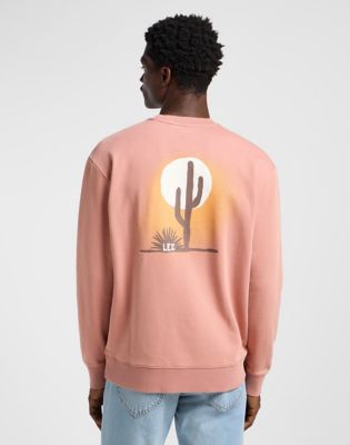 Regular Graphic Sweatshirt in Sepia