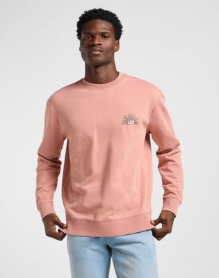 Regular Graphic Sweatshirt in Sepia alternative view