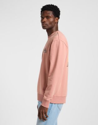 Regular Graphic Sweatshirt in Sepia alternative view 3