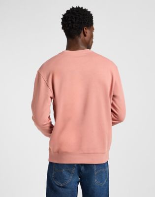 Wobbly Lee Sweatshirt in Sepia alternative view