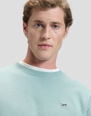 Regular Patch Crew Sweatshirt in Desert Sage