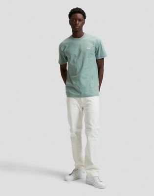 Relaxed Small Logo Tee in Desert Sage