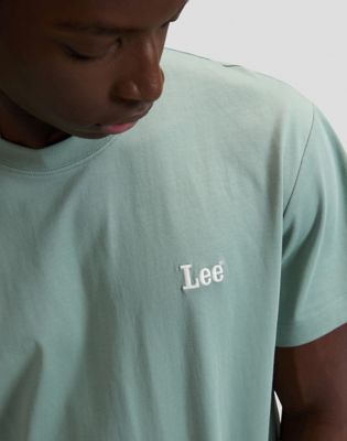 Relaxed Small Logo Tee in Desert Sage