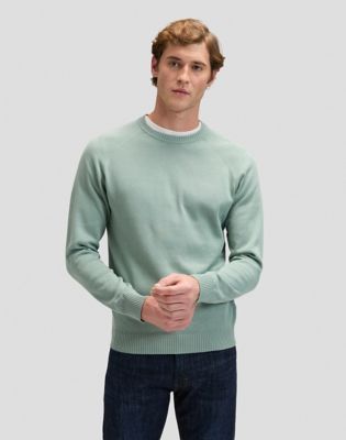Regular Clean Raglan Sweater in Desert Sage
