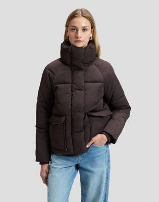 Regular Puffer Jacket in Chocolate Torte