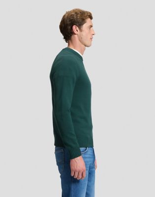Regular Raglan Sweater in Ponderosa Pine