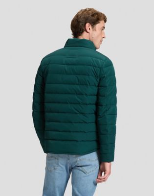 Regular Stand Collar Puffer Jacket in Ponderosa Pine