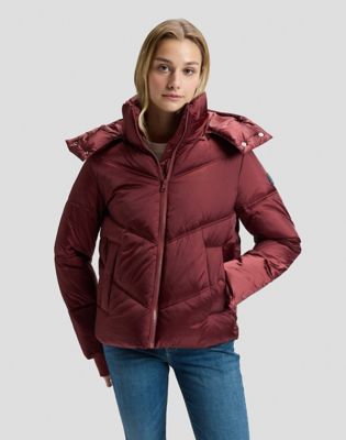 Regular Short Hooded Puffer Jacket in Port