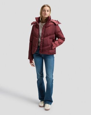 Regular Short Hooded Puffer Jacket in Port