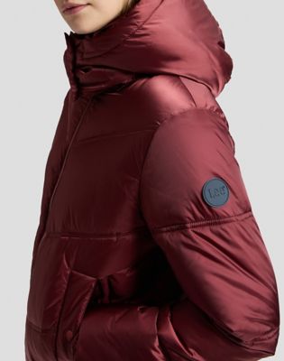 Regular Short Hooded Puffer Jacket in Port