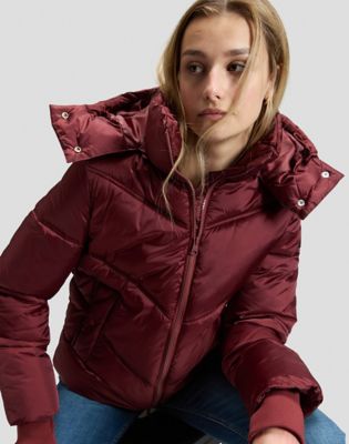 Regular Short Hooded Puffer Jacket in Port