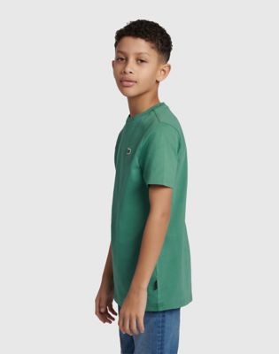 Badge Tee in Frosty Spruce