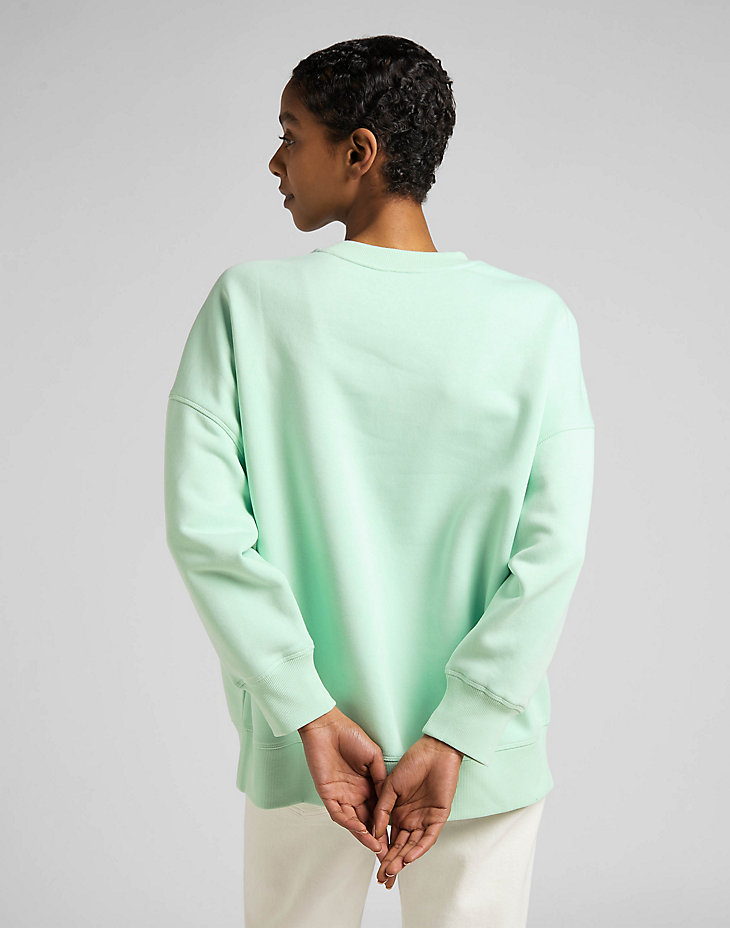 Oversized Sweatshirt in Seaglass alternative view