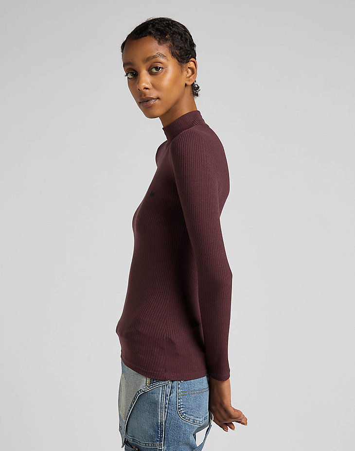 Ribbed Long Sleeve Striped Tee in Boysenberry alternative view 3
