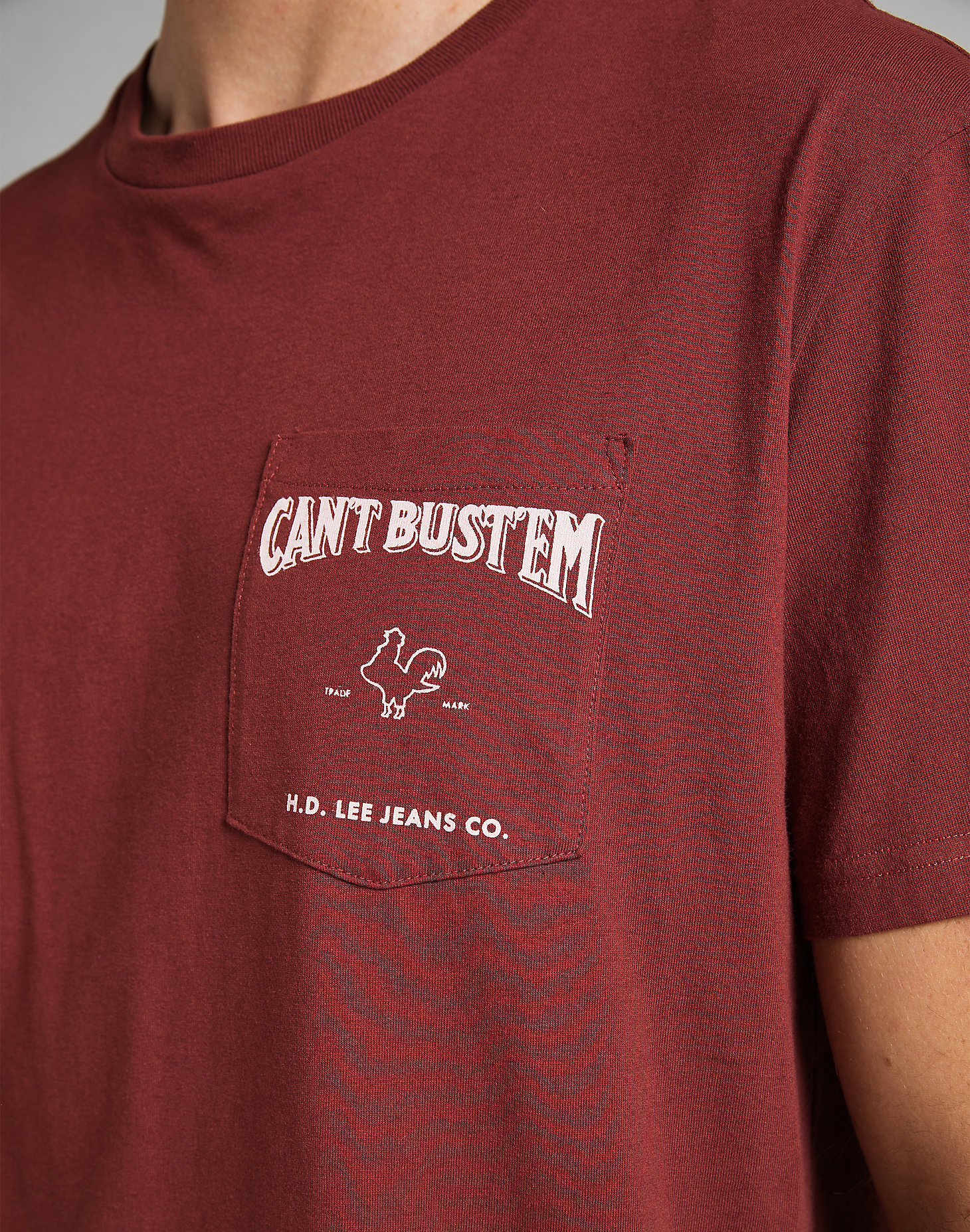 Can´T Bust´Em Tee in Fired Brick alternative view 4