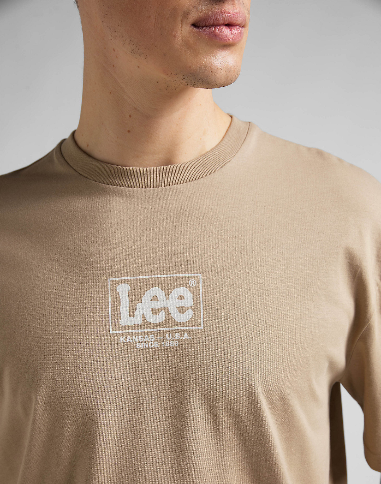 Logo Loose Tee in Clay alternative view 4