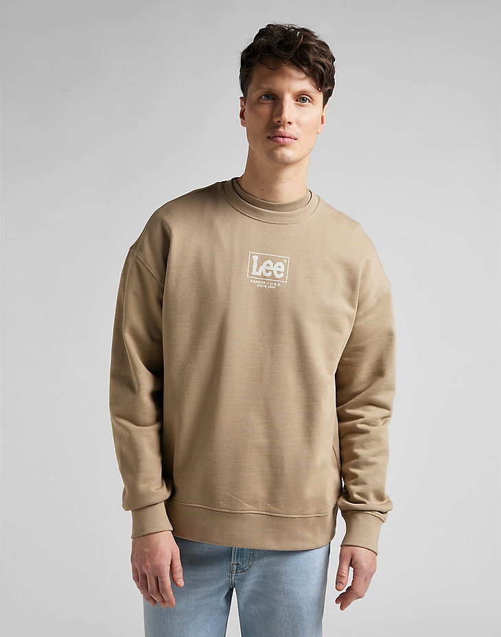 Logo Loose Crew Sweatshirt in Clay alternative view 4