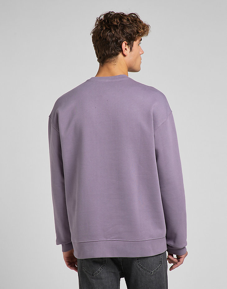 Core Loose Crew in Washed Purple alternative view